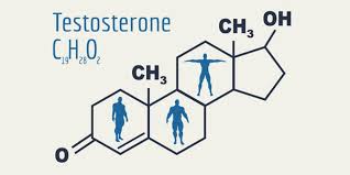 Testosterone là gì?