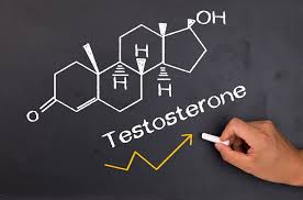 Giữ Cân Bằng Testosterone