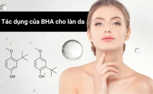 BHA