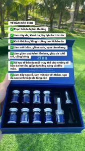 Sử Dụng Tế Bào Gốc